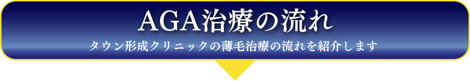 AGA治療の流れ