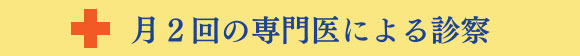 月2回の専門医による診察