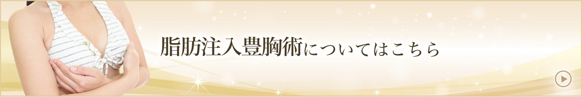 脂肪注入豊胸術について詳しくはこちら