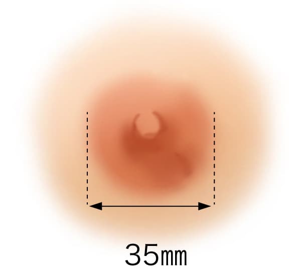 乳輪の大きさの平均値
