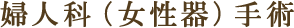 婦人科(女性器)手術