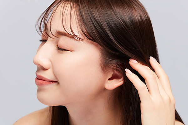 モデルイメージ