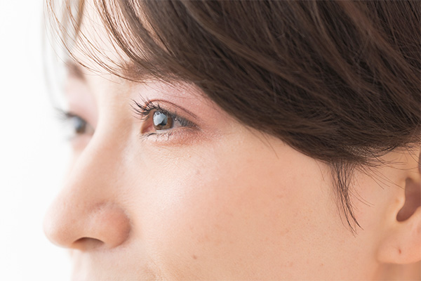 モデルイメージ