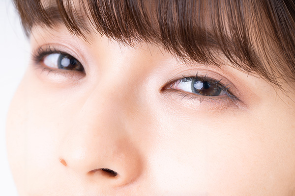 モデルイメージ