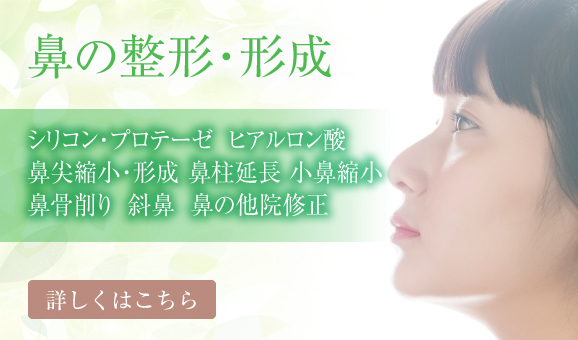 隆鼻術、鼻の手術