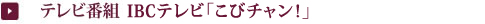 テレビ番組 IBCテレビ「こびチャン!」