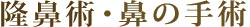 隆鼻術・鼻の手術