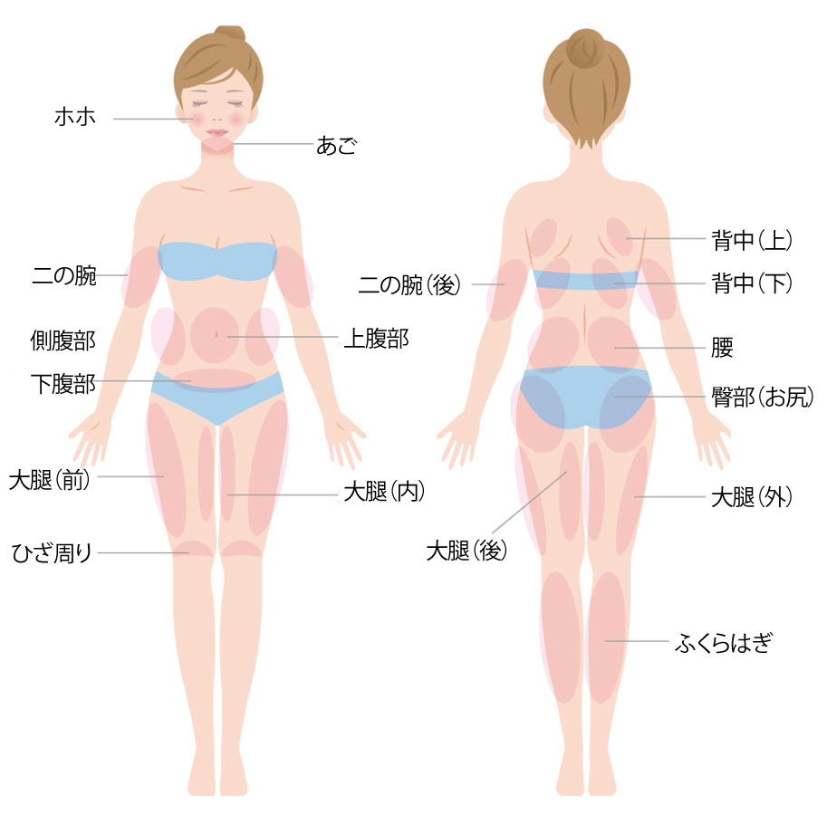 メソセラピー（脂肪溶解注射）を行える身体の部位